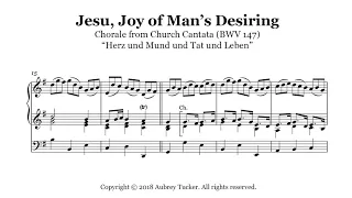 Organ: Jesu, Joy of Man's Desiring (Chorale from Church Cantata BWV 147) - J. S. Bach