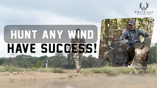 How to Kill BIG BUCKS on ANY WIND and have SUCCESS!!