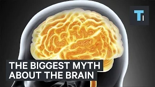 The biggest myth about the brain