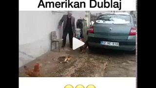 Ateist horoz ile dedenin nameaz kavgası gülme garanti