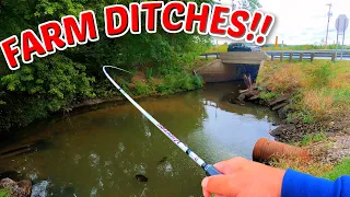 SURPRISING! Ditch Fishing Fields of INDIANA