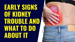 kidney problem warning signs you must not ignore : Don't Miss Them