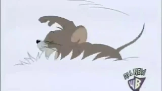 Tom and Jerry 376 part:1 | Snow Mouse [2007]