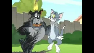 Tom and Jerry The fast and furry.