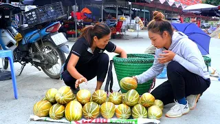 Mai and her sister-in-law harvest a giant melon garden - Live with nature