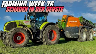 Farming Week 76 | Der Rasentraktor wirft Flammen 🔥 🔥 🔥