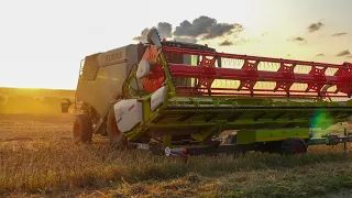 Getreideernte 2023/ Claas Trion 750/ Valtra T.215/ Raps dreschen im Sonnenuntergang