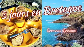 Brittany. Cancale Oysters. Emerald Coast I France Vlog 2024