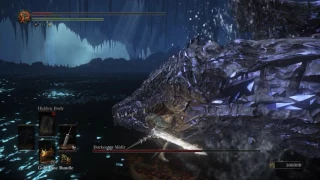 Midir in 77 seconds, SL120 NG+7 No damage