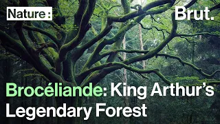 Brocéliande: King Arthur’s Legendary Forest