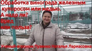 Обработка виноградника железным  купоросом - вред или польза? (Пузенко Наталья Лариасовна)