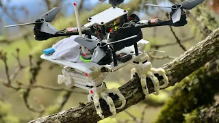 A drone with bird paws landing on a branch