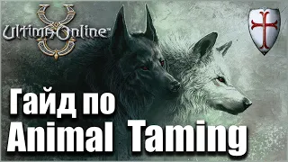 Ultima Online Гайд по Animal Taming