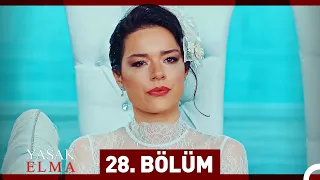 Yasak Elma 28. Bölüm