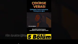 Çekirge Vebası 5 bölüm - Film Özeti