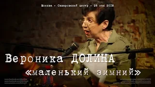 Вероника Долина «Маленький Зимний»