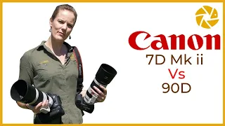 Canon 90D vs 7D MK ii for WILDLIFE PHOTOGRAPHY.