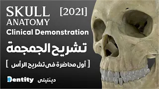 Skull Anatomy | اسهل طريقة لفهم  تشريح الجمجمة  Part [ 1/2 ]