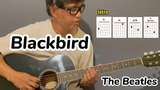 Blackbird | The Beatles (Song Cover)