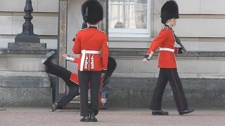 Buckingham Palace guard slips and falls in front of hundreds of tourists