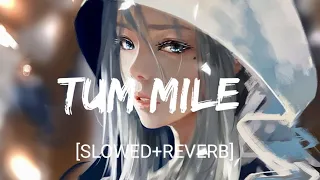 Tum Mile [Slowed+Reverb- Javed Ali | Textaudio