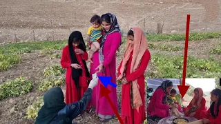 Zahra's Farming Adventure with the Twins"2024