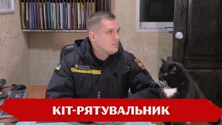 Кіт-рятувальник живе у пожежній частині на Черкащині: які обов'язки у чотирилапого на службі