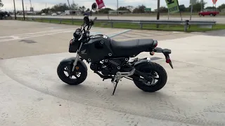 New 2023 Honda GROM Motorcycle For Sale In Sebring, FL