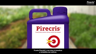Pirecris, insecticida natural para el control de plagas