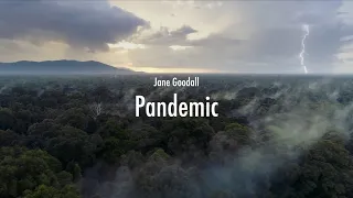 Jane Goodall - Pandemic