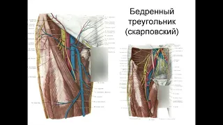 ПУНКЦИЯ БЕДРЕННОЙ ВЕНЫ ГКССМП АБАКАН