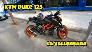 KTM Duke 125 Curvas en Carretera de Montaña🌲