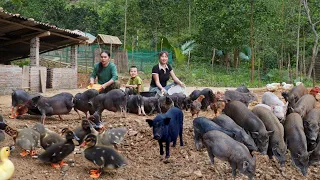 Build fences around the farm, cook pig bran, build a life in nature