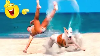 Funny Animals Video - Best Cats and Dogs Videos. Funny Animals Channel. Part 166