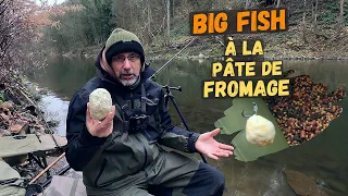 The Cheese Paste And The Big Fish, Enticed By The Smell | Feeder Fishing in Winter