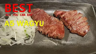 Best All You Can Eat A5 WAGYU BEEF Teppanyaki style in Tokyo Japan and Crazy Shibuya crossing, AGAIN