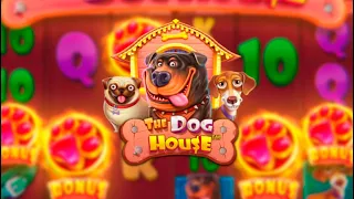 РИСКНУЛ ВСЕМ ЗАНОСОМ В DOG HOUSE MEGAWAYS (ШОК)🔥