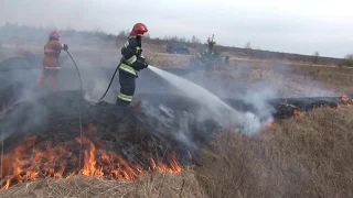 Пожароопасный период: правила наведения порядка