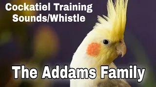 Cockatiel Training Whistle: The Addams Family