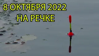 Рыбалка 8 октября 2022 на речке.