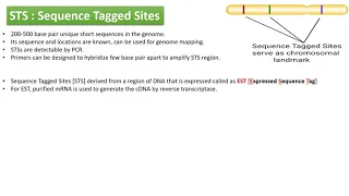 Sequence Tagged Sites : STS Mapping, Expressed Sequence Tags [EST] genome mapping