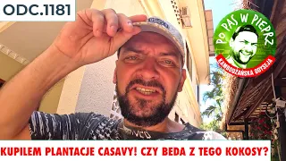 Kupilem plantacje Casavy! Czy beda z tego kokosy? Odc.1181