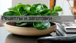 Рецепты и заготовки