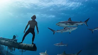 Sharks & Shipwrecks | Freediving The Bahamas