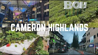 Cameron Highlands Malaysia2022 Things to do | Complete Travel Guide  #travel #Malaysia Travel&Walk