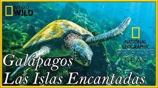 Galápagos Las Islas Encantadas [Ecuador][Parte 5]Documental NAT GEO  HD