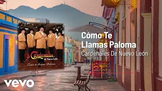 Cardenales De Nuevo León - Cómo Te Llamas Paloma (Audio)