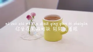 【傻瓜-季彦霖】SHA GUA-JI YAN LIN /TIKTOK,抖音,틱톡/Pinyin Lyrics, 拼音歌词, 병음가사/No AD, 无广告, 광고없음