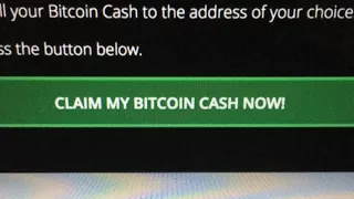 How to get Bitcoin Cash out of Exodus 100%