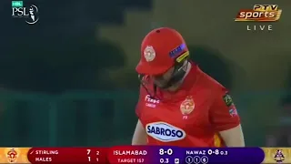 Paul Stirling  56 runs just 33 balls brilliant  Batting